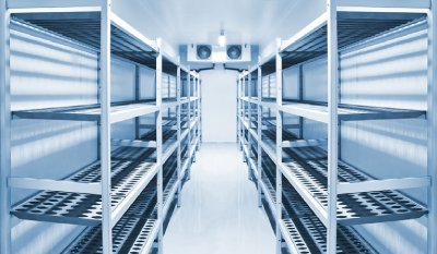Cold-Chain Logistics: The Silent Backbone of Fresh Produce Exports