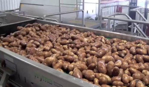Food Safety by Design: Inside a HACCP-Compliant Processing Facility