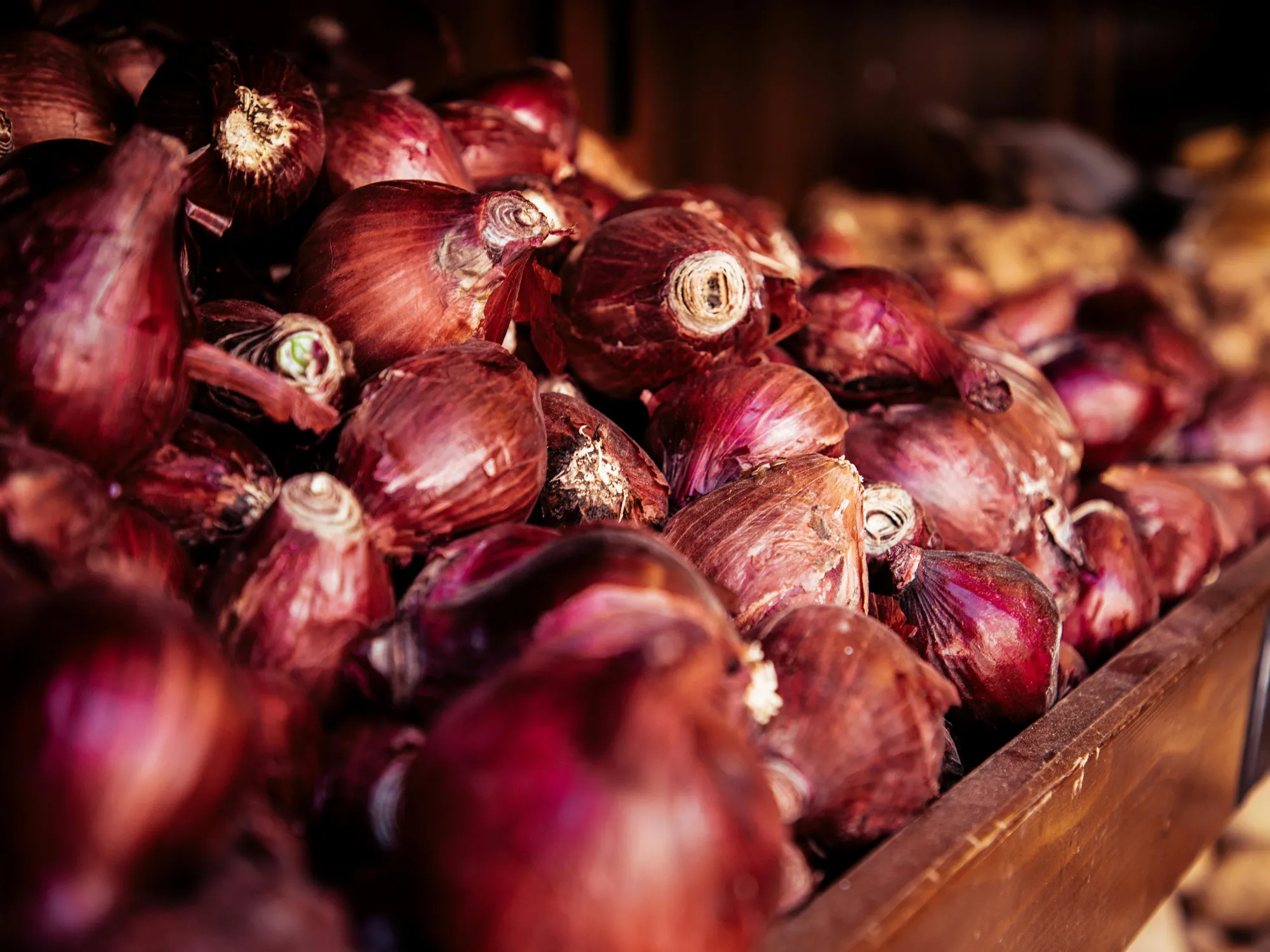 Onion