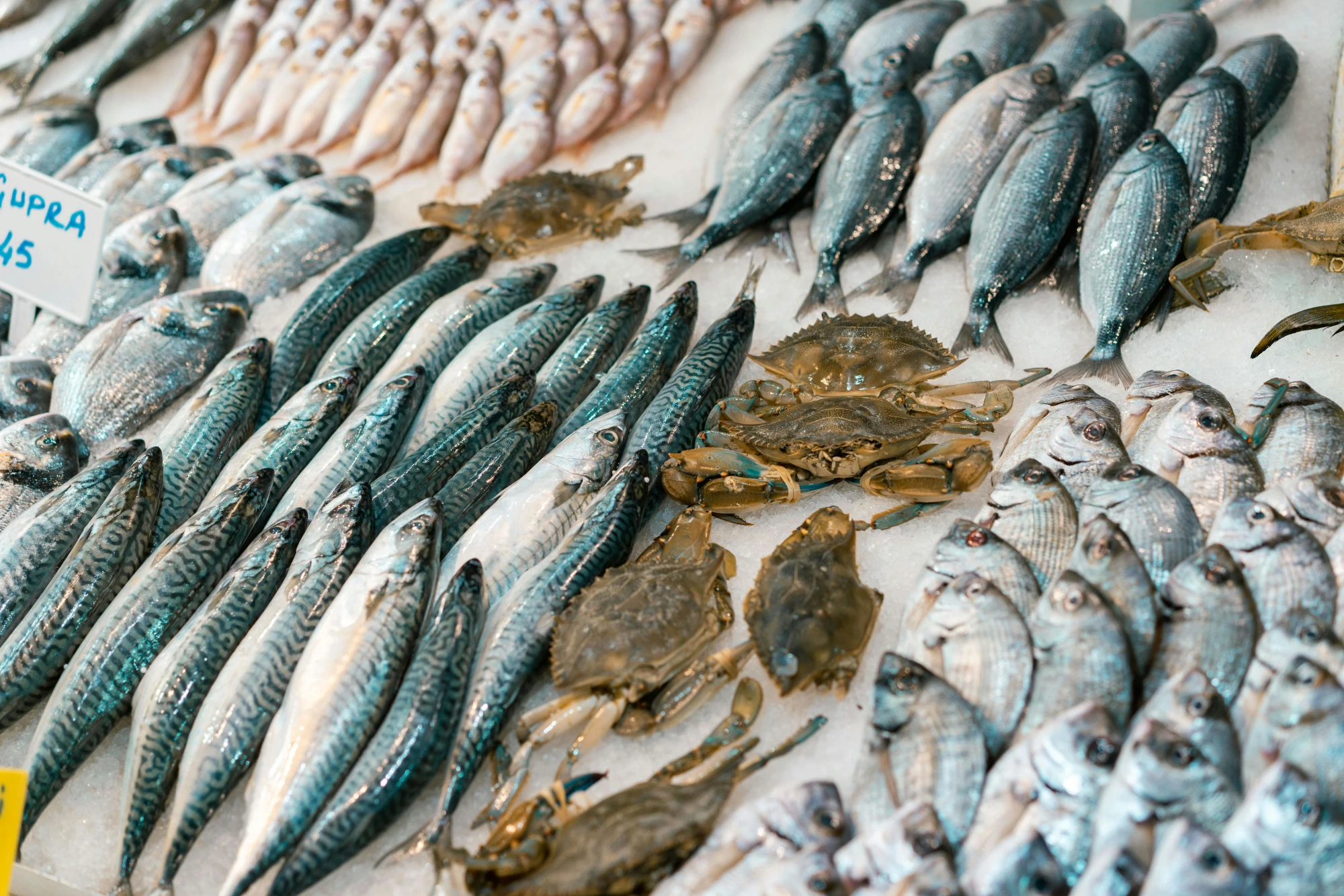 Seafood